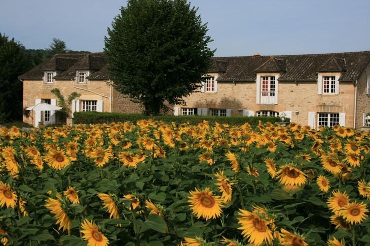 Saint-Vincent-de-Cosse Domaine Des Hirondelles 빌라 객실 사진